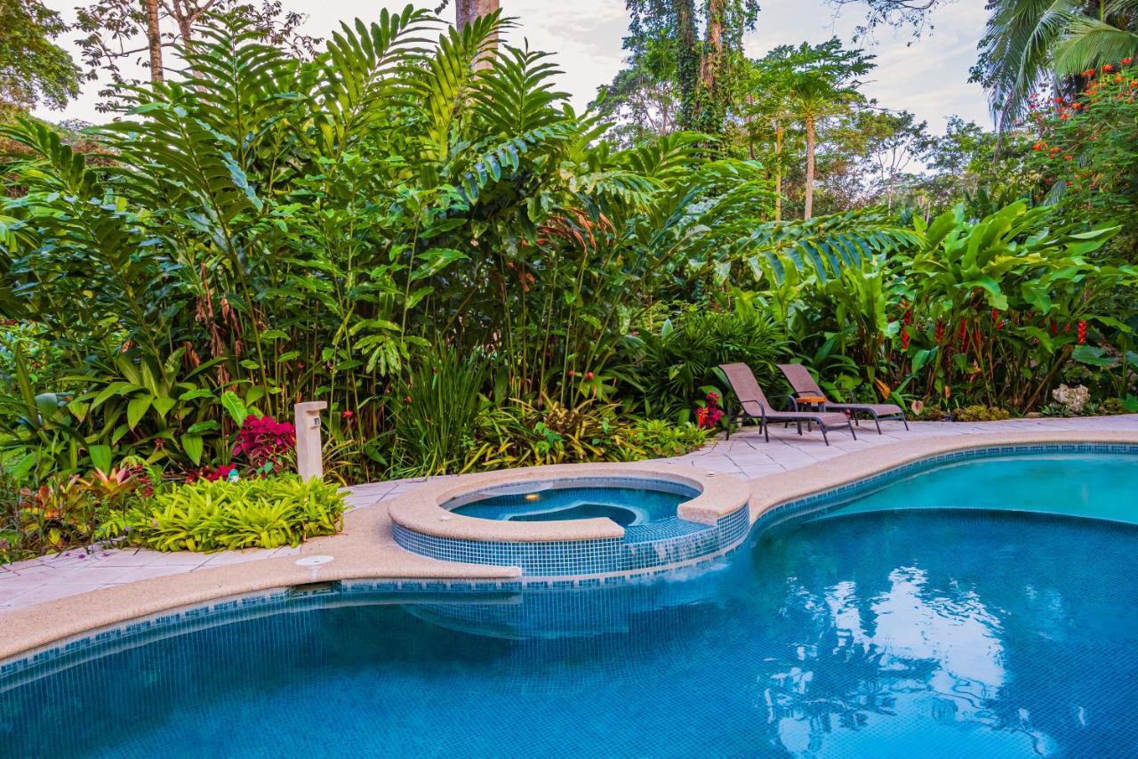 El Nido Jungle Lodge Puerto Viejo de Talamanca Экстерьер фото