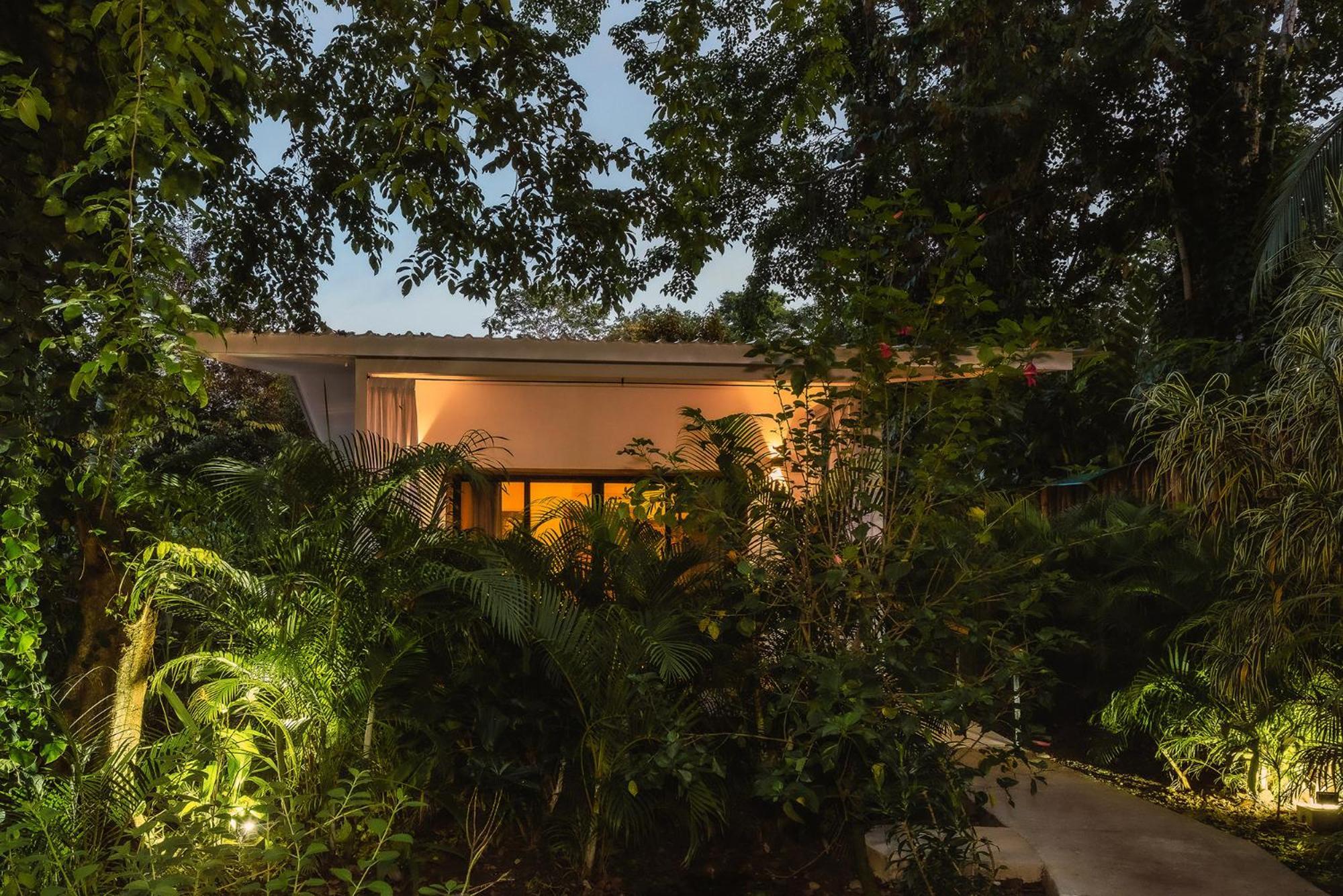 El Nido Jungle Lodge Puerto Viejo de Talamanca Экстерьер фото