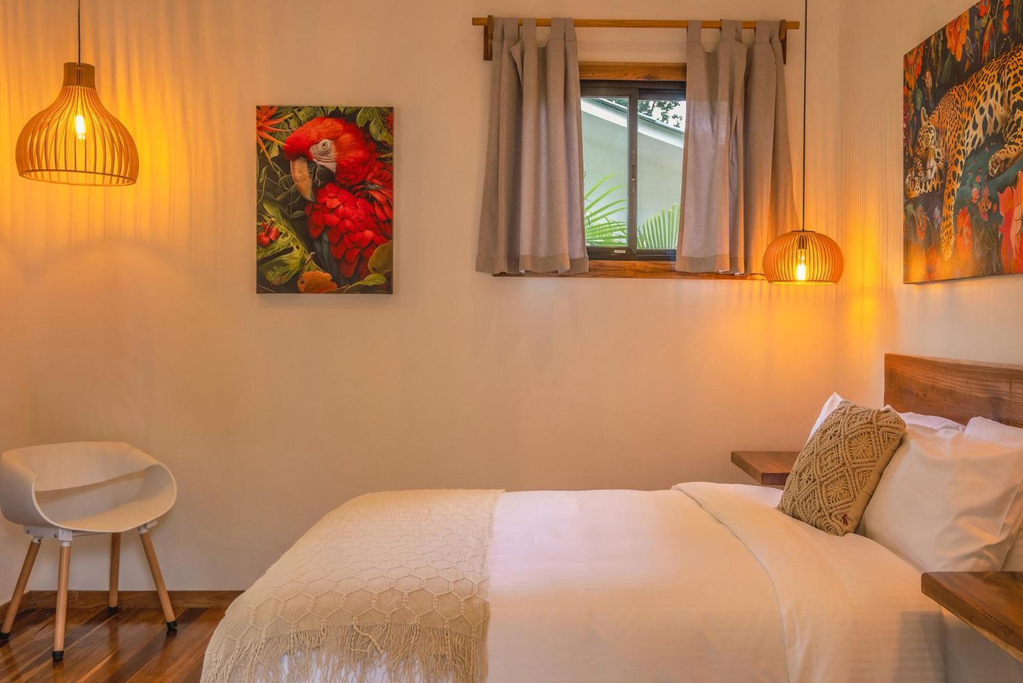 El Nido Jungle Lodge Puerto Viejo de Talamanca Экстерьер фото