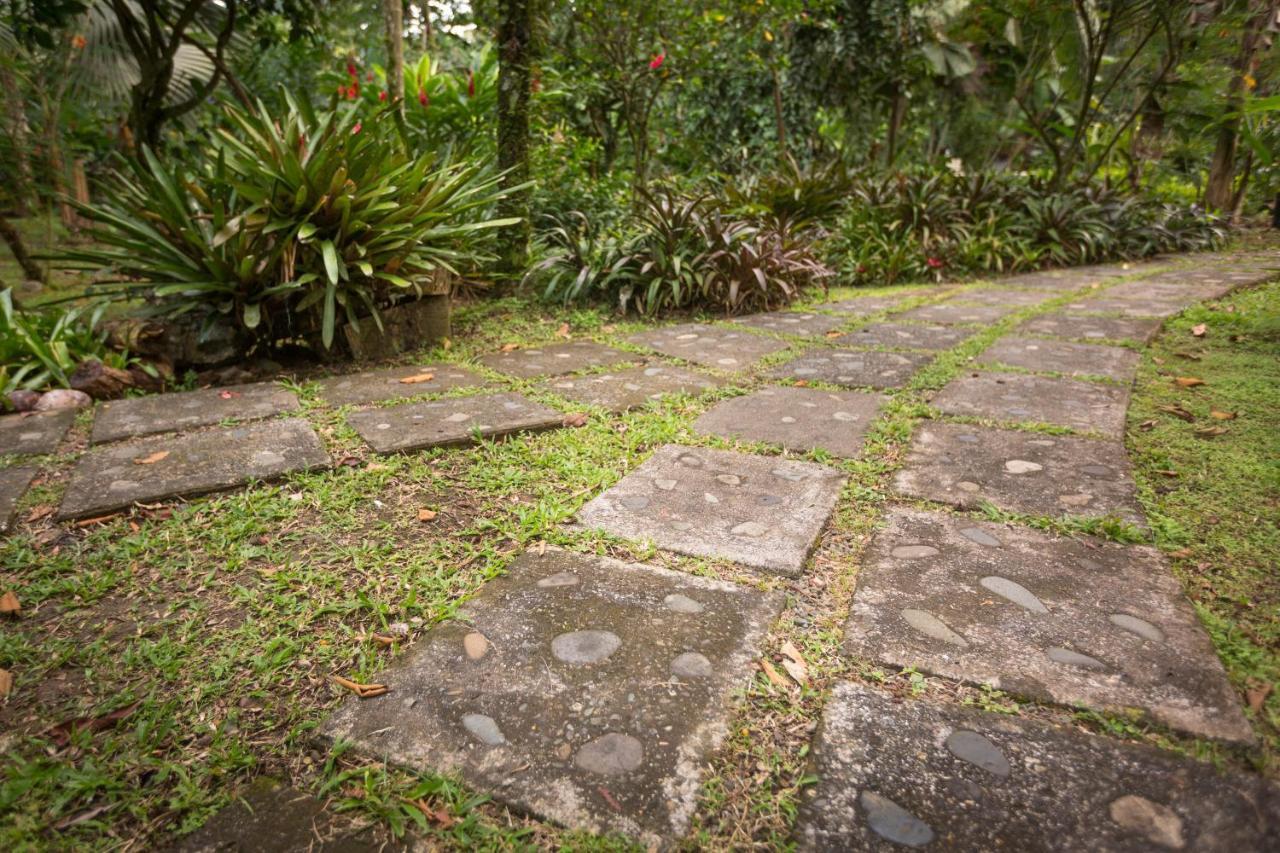 El Nido Jungle Lodge Puerto Viejo de Talamanca Экстерьер фото