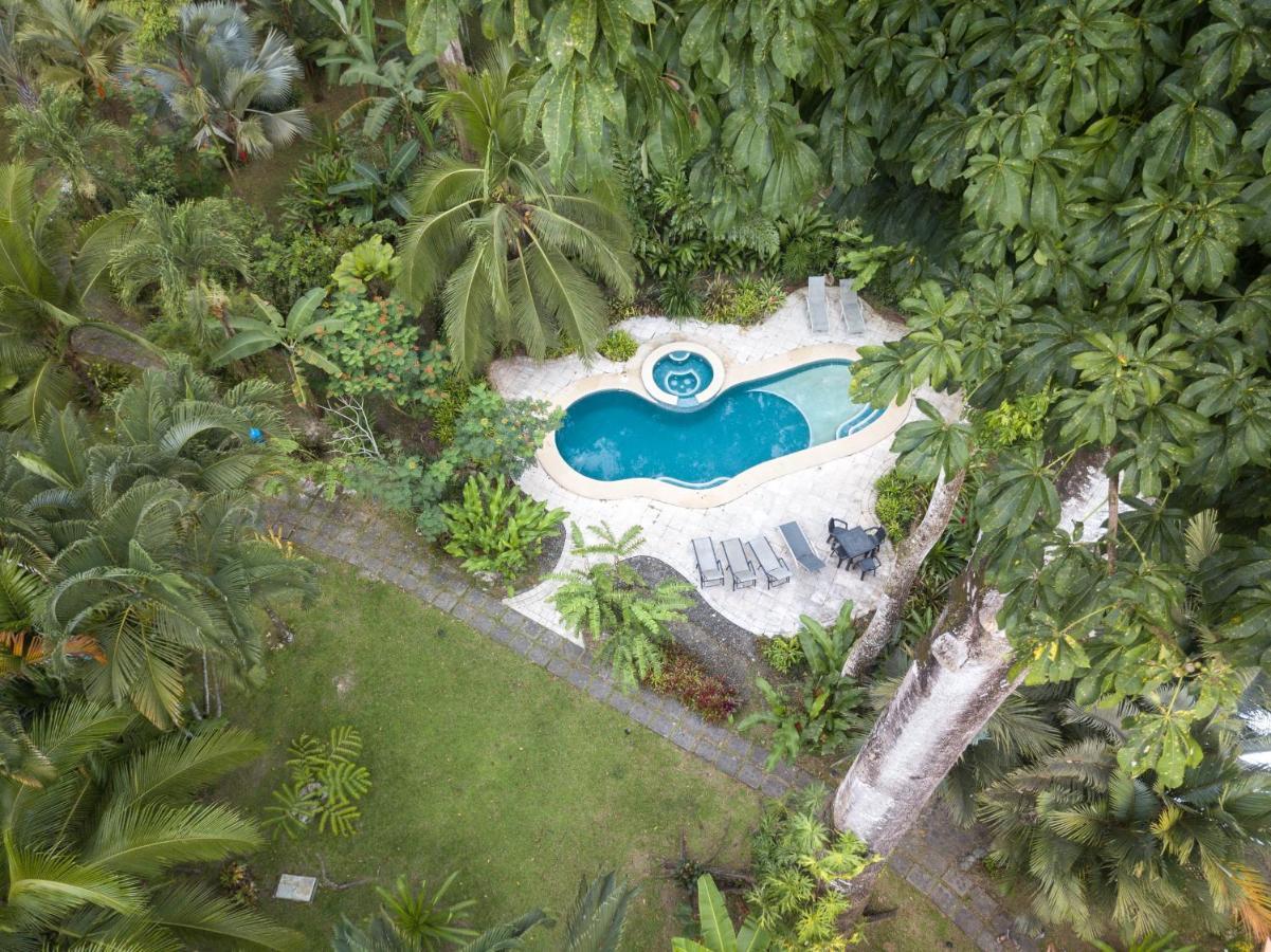 El Nido Jungle Lodge Puerto Viejo de Talamanca Экстерьер фото