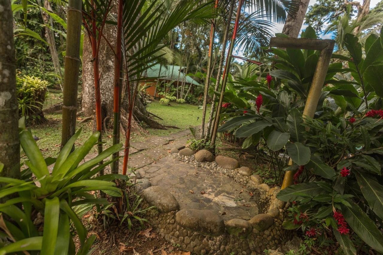 El Nido Jungle Lodge Puerto Viejo de Talamanca Экстерьер фото